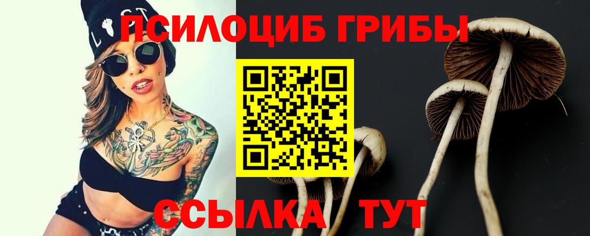Рассказово  Галлюциногенные грибы Magic Shrooms  Псилоцибиновые грибы GOLDEN TEACHER  Вход с VPN 